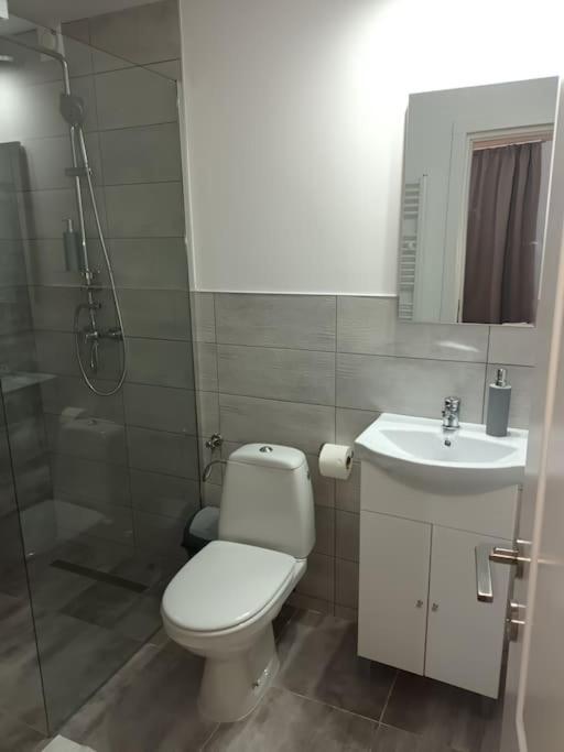 Old Town Studio 1 Apartment Nr 4 Baia Mare Esterno foto