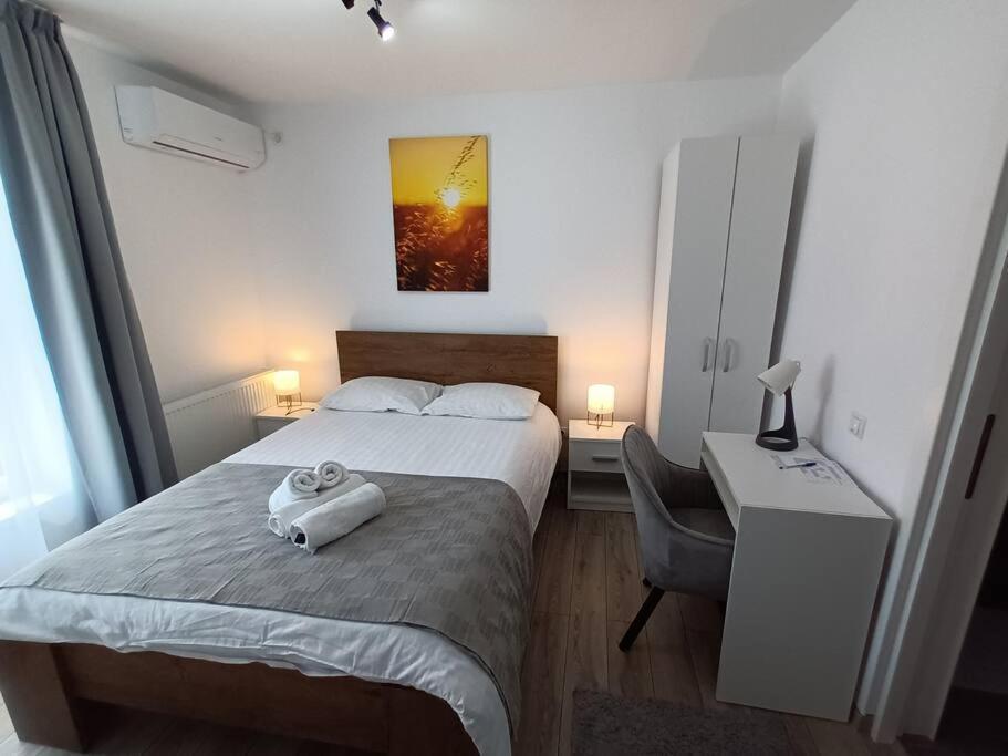 Old Town Studio 1 Apartment Nr 4 Baia Mare Esterno foto