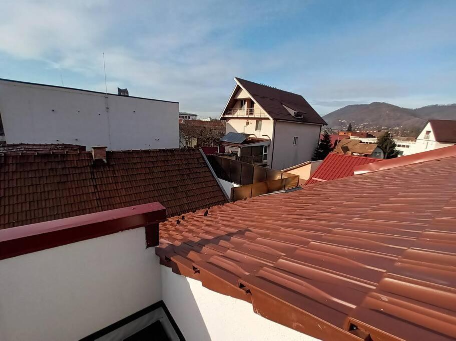 Old Town Studio 1 Apartment Nr 4 Baia Mare Esterno foto